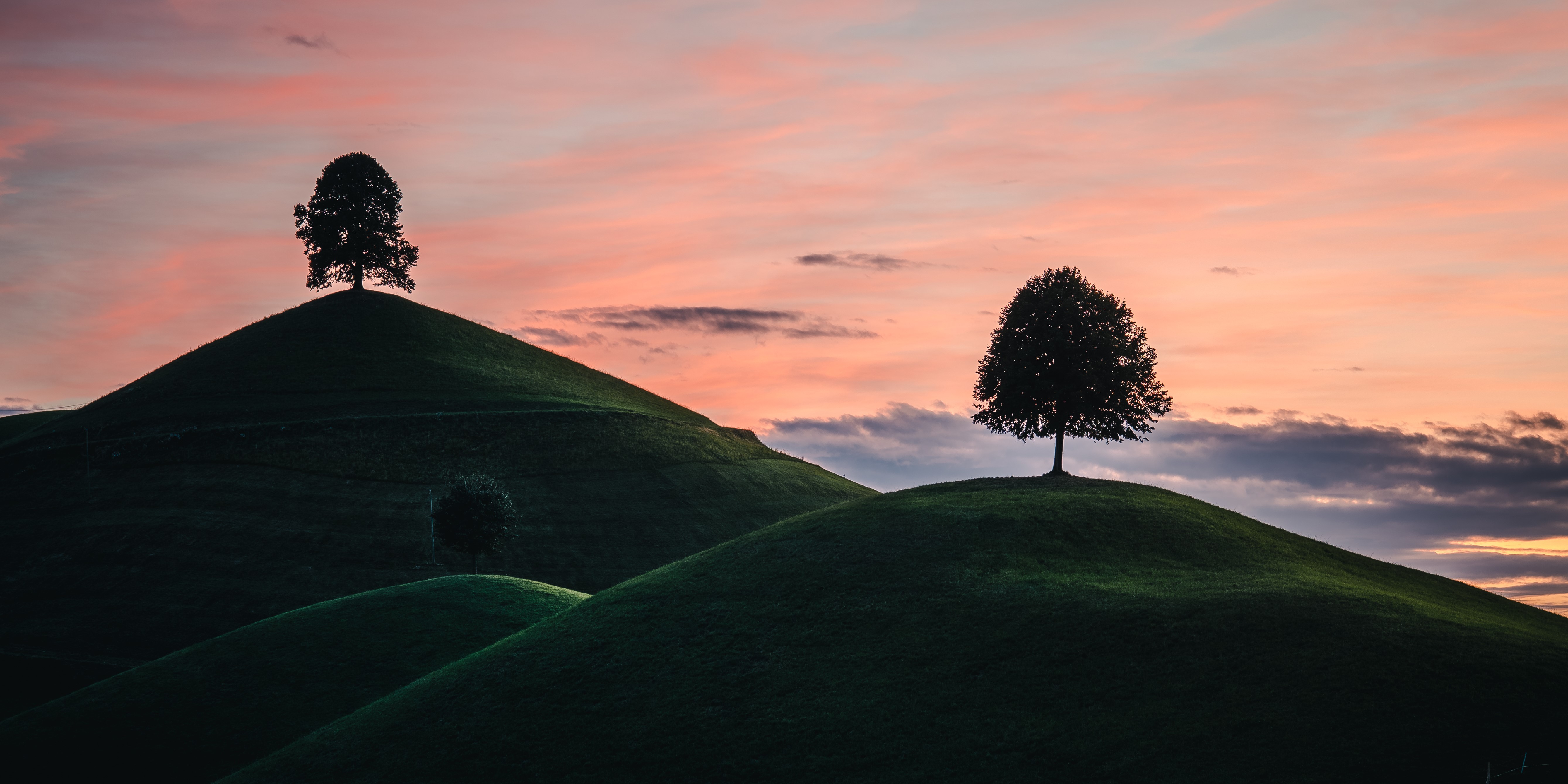 Hügel mit Lindenbaum